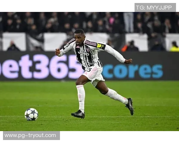 本菲卡绝杀那不勒斯全场沸腾世界杯十大精彩进球回顾